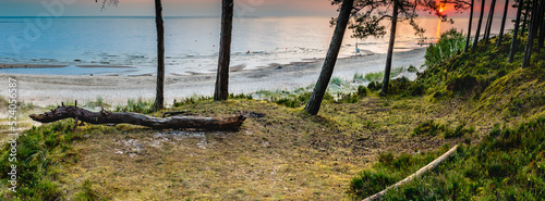 Panorama of coastal landscape with sandy beach and forest dune area of the Ba...