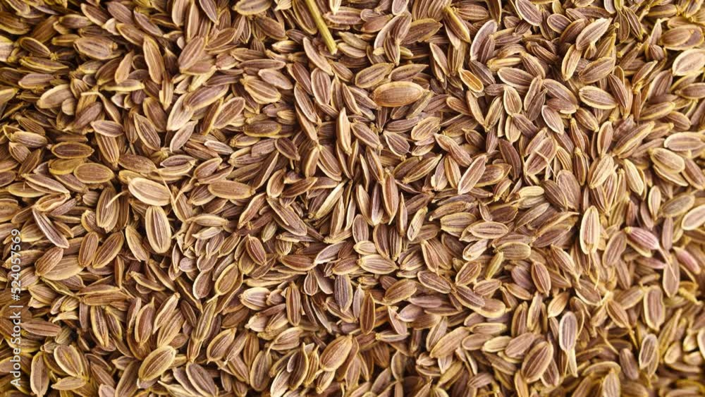 dill seeds background