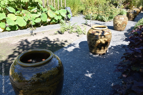 Grands vases au jardin photo