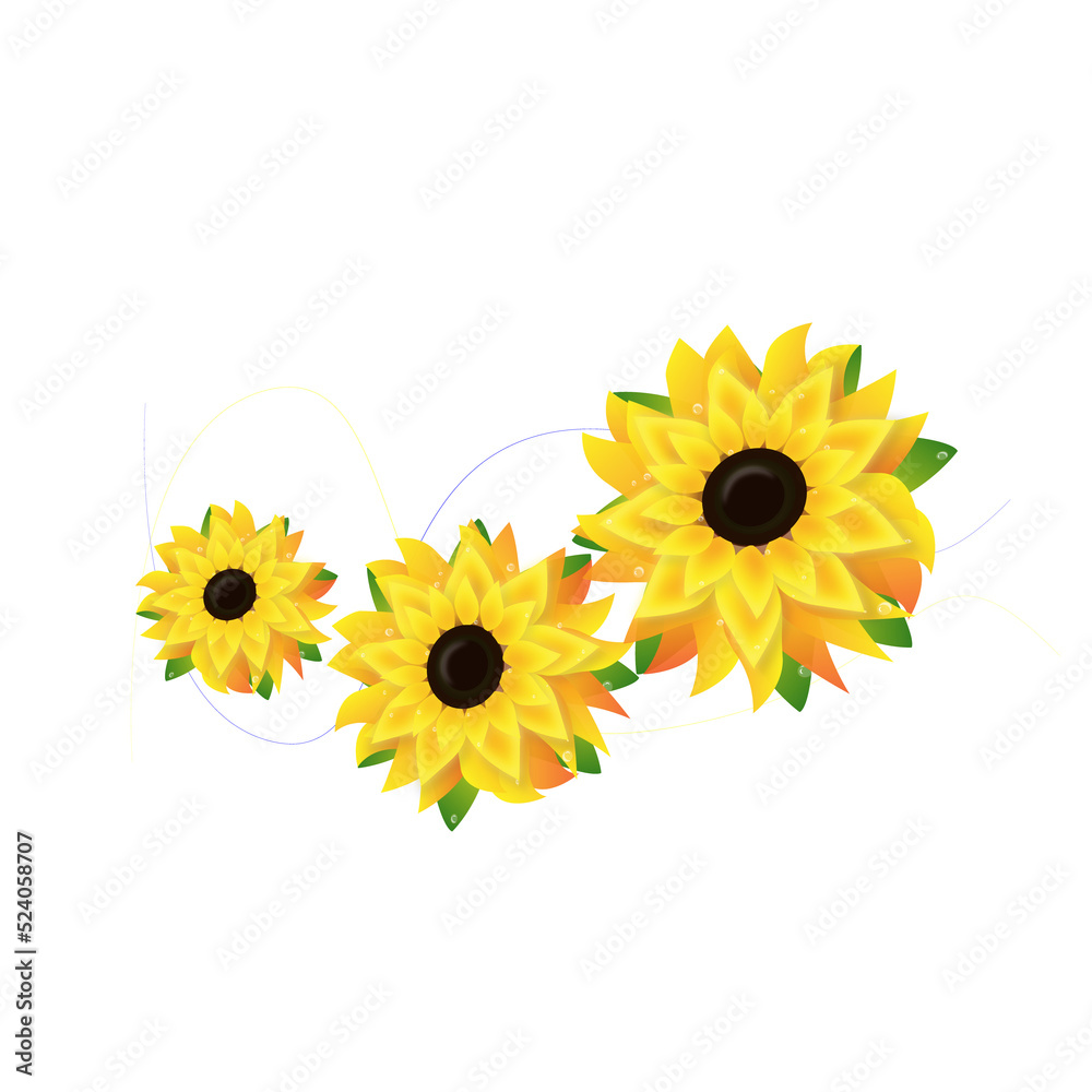 Obraz premium sunflower