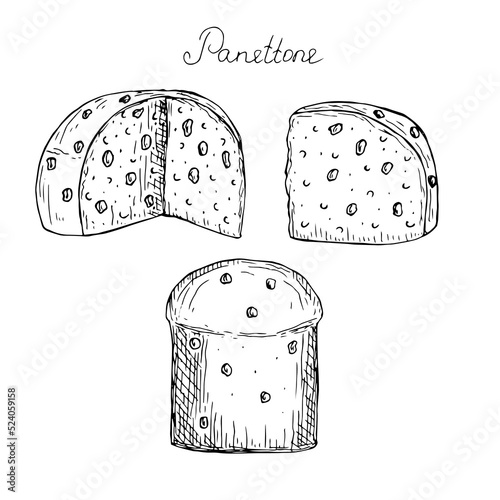 Panettone set vector illustration, hand drawing sketch