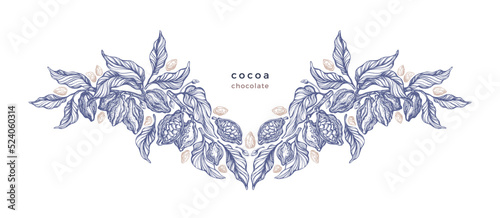 Cocoa beans. Vector illustration Organic chocolate