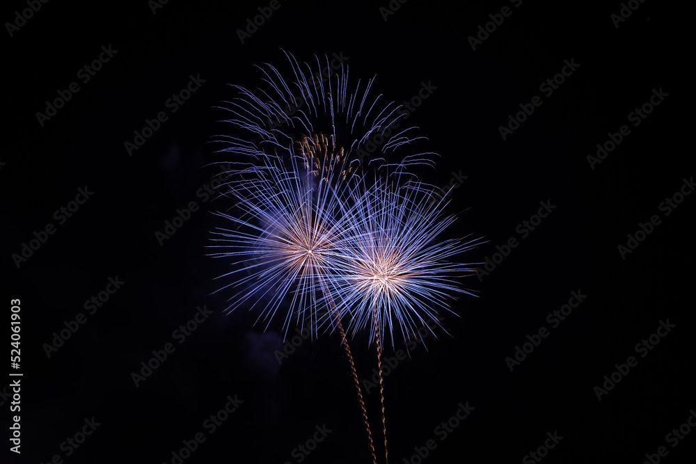 fireworks in the night sky fireworks in the night sky