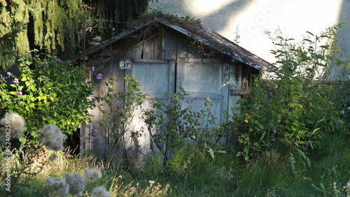 Cabane en bois au fond du jardin