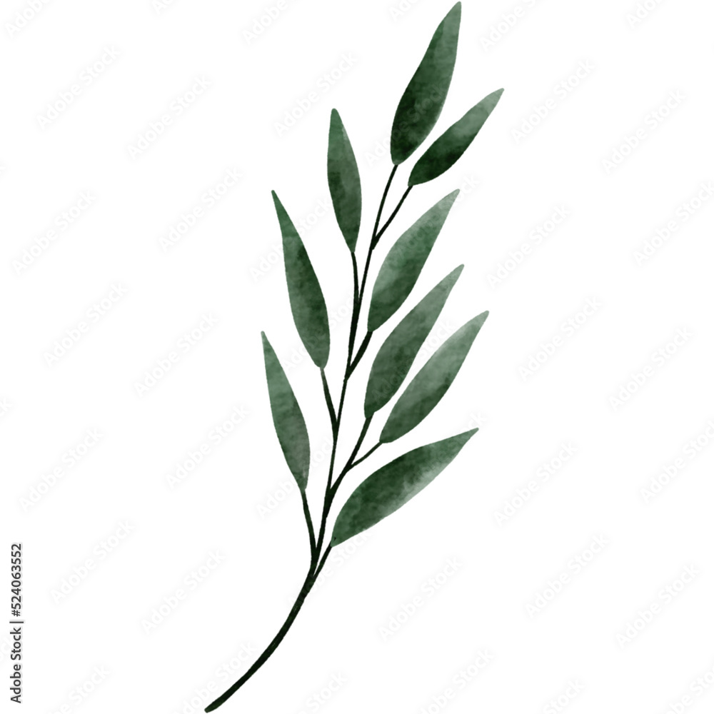 leaves isolated on white leaves isolated on white