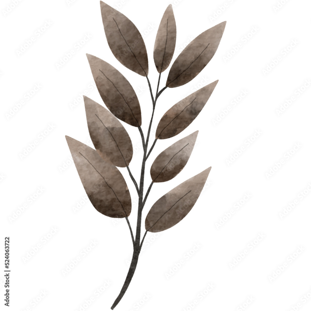 Obraz premium leaves isolated on white background