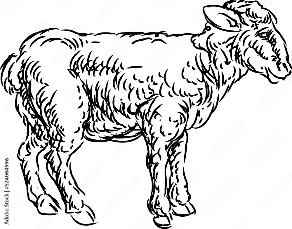 Lamb Sheep Food Grunge Style Hand Drawn Icon