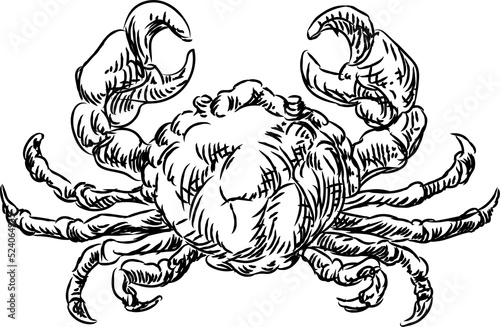 Crab Seafood Food Grunge St...