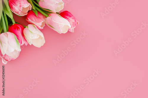 Bouquet of pink tulips flowers on pastel pink background © Francesco