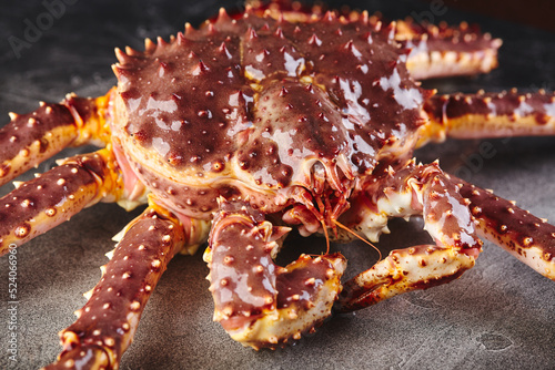 Live king crab on gray background close-up