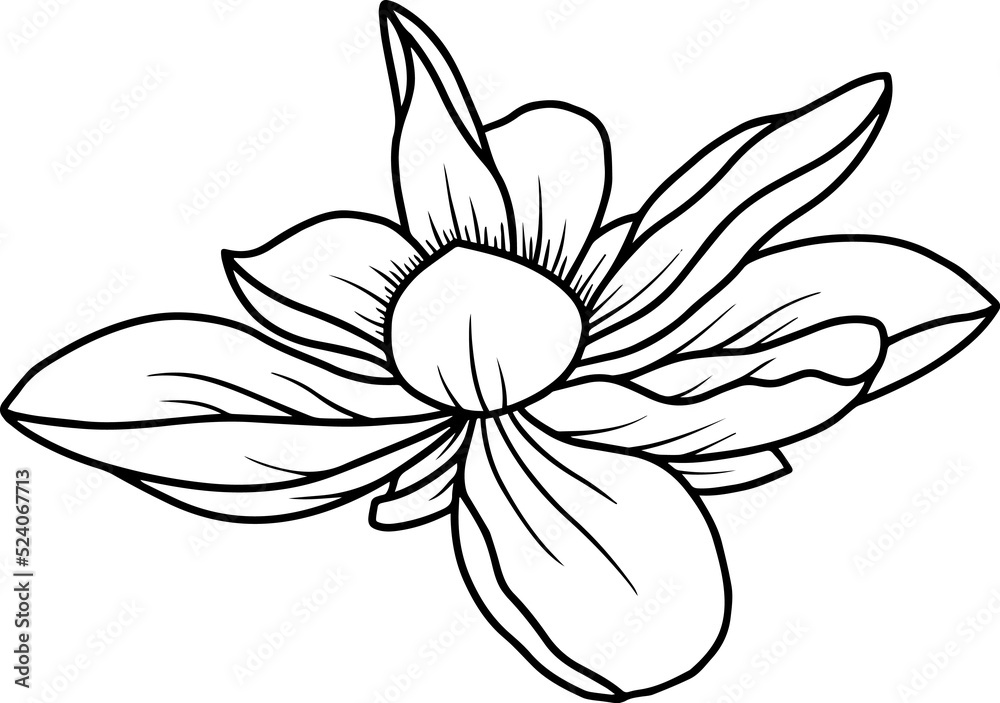 Flower Element Line Art
