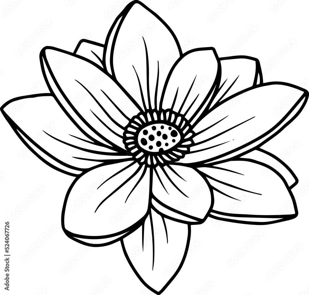 Lotus Flower Sketch Line Art
Lotus Flower Sketch Line Art