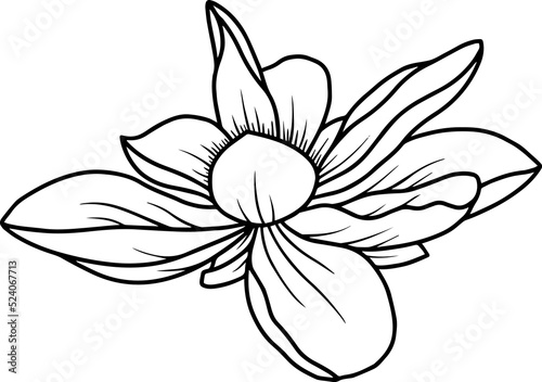 Flower Element Line Art 