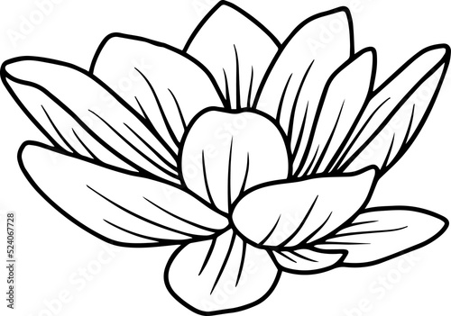 Floral Design Line Art 