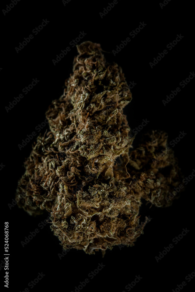 Cannabis Flower Macro on black background