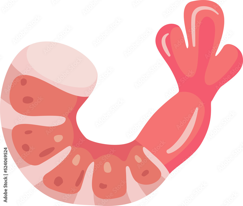 Fototapeta premium shrimp sea food ingrediant