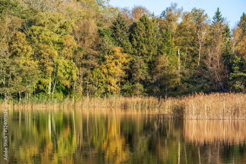 Lake reflections with autumn colors