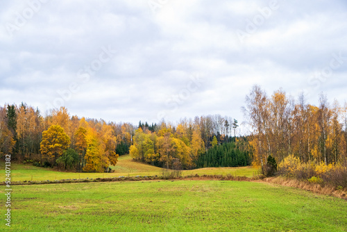 Rural landscape view with autumn colors