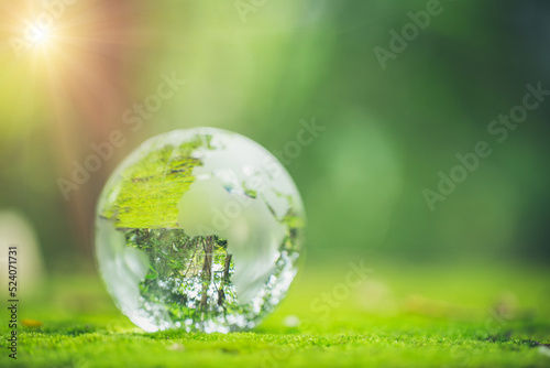 Sunlight with earth sphere crystal or sustainable globe glass on green moss nature background in ecology environment forest. concept of tree conservation environmental  protection planet eco.