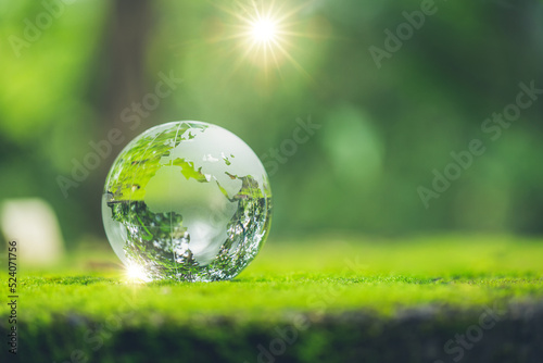 Sunlight with earth sphere crystal or sustainable globe glass on green moss nature background in ecology environment forest. concept of tree conservation environmental, protection planet eco. © doidam10