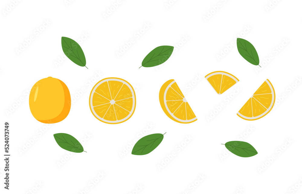 Cartoon oranges fruit set, vector illustration of citrus wholes and slices. Cartoon oranges fruit set, vector illustration of citrus wholes and slices.