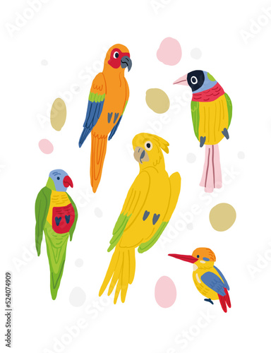 Vector set of cute colorful birds on white background. Tropical birds