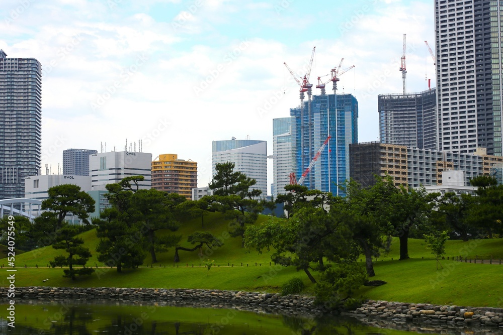 Obraz premium 日本庭園