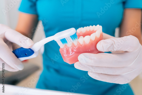 Anonymous female orthodontist brushing denture in clinic photo