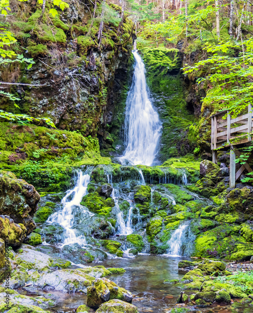 Fototapeta premium Waterfall between the Rocky Mountains and Jungle in Canada 