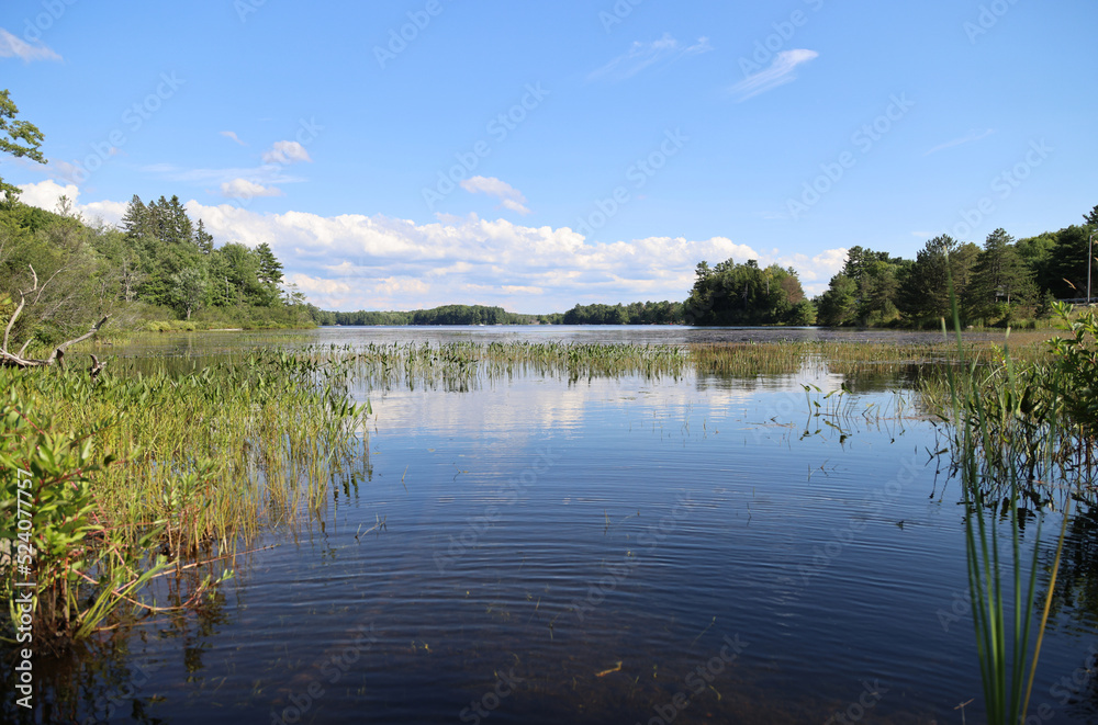 View of one of the lakes in the Muskoka area, Ontario