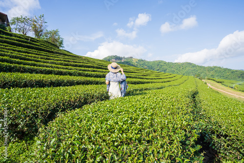 Asian female tourist at tea plantation with blue sky.