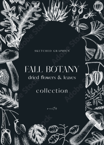 Autumn arc design with fall leaves and dried flowers. Thanksgiving background. Fall card or invitation. Sketched dried flowers, falling leaves, mushrooms, seeds frame. Botanical illustration on chalkb