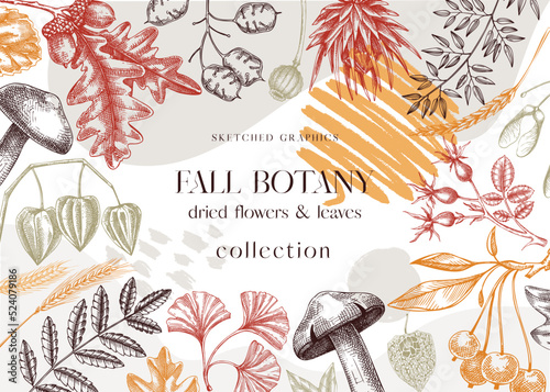 Autumn collage with fall leaves and dried flowers. Thanksgiving background. Fall card or invitation. Sketched dried flowers, falling leaves, mushrooms, seeds frame. Colorful botanical illustration
