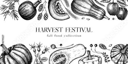 Sketched pumpkins banner black and white. Thanksgiving background. Autumn food drawings. Vector vegetables, butternut squash, marrow, pumpkin sketches. Fall harvest frame design