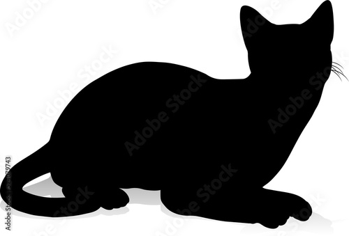 Silhouette Cat Pet Animal