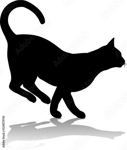 Silhouette Cat Pet Animal