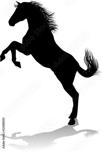 Horse Silhouette Animal