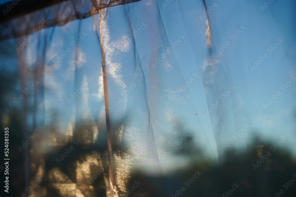 custom made wallpaper toronto digitalTranslucent tulle separates the gazebo or window from nature. Blurry background with beige highlights