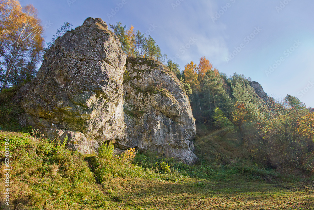 Autumn landscape. A rock in an autumn forest