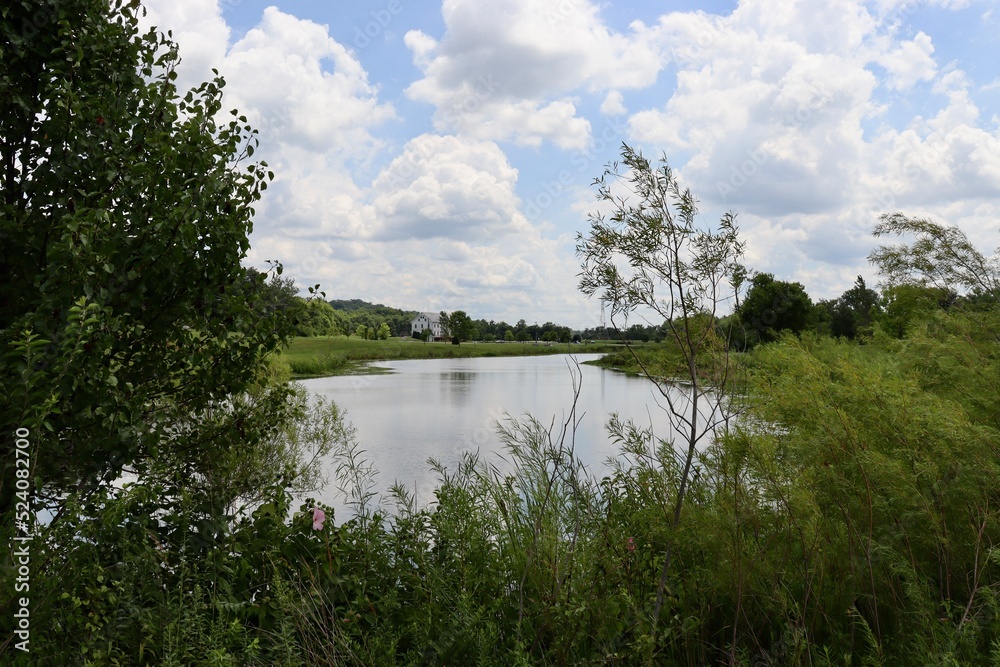 Obraz premium The lake in the peaceful countryside on a sunny day.