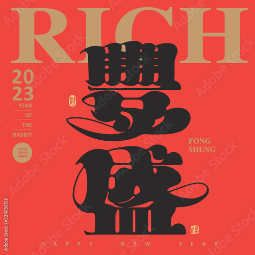 Magazine cover layout design, Chinese font character "rich", Celebrate the new year in visual style, Vector graphics
