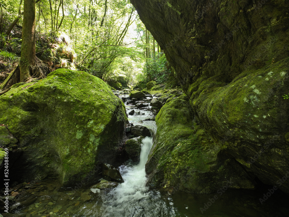 愛媛県砥部町　仙波渓谷の風景