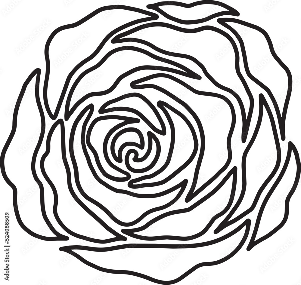 rose flower line drawing rose flower line drawing
