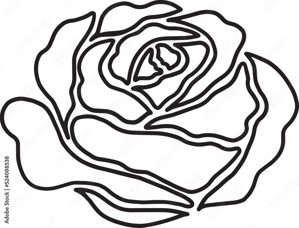 rose flower line drawing rose flower line drawing