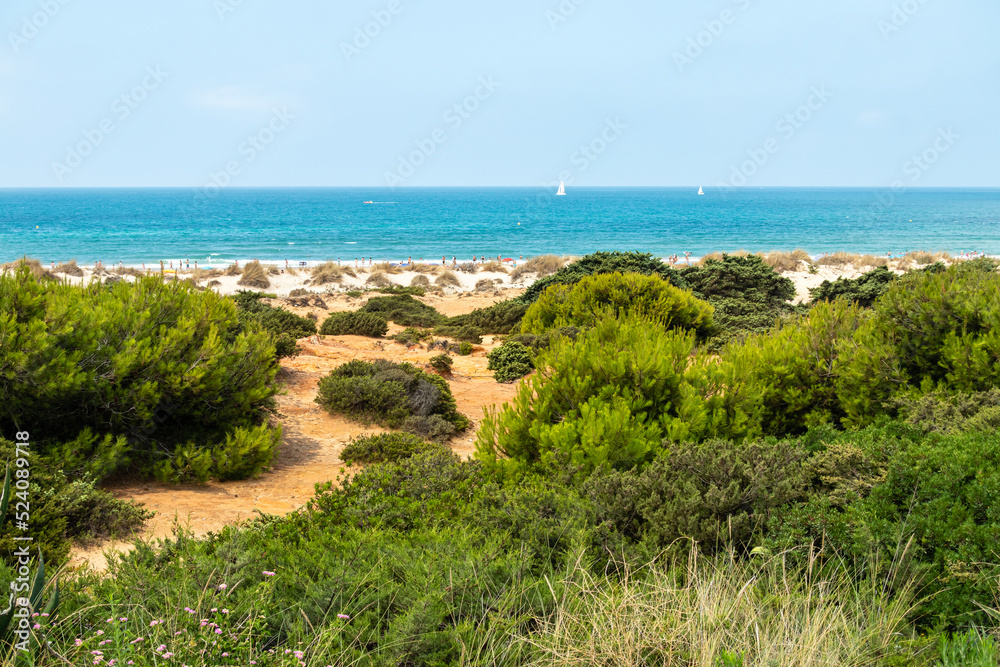 pleasure boats passing in front of La Barrosa beach in Sancti Petri Cadiz pleasure boats passing in front of La Barrosa beach in Sancti Petri Cadiz
