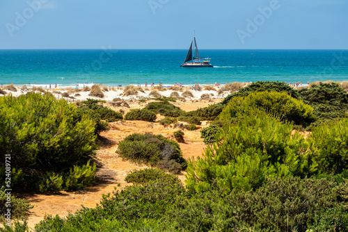 pleasure boats passing in front of La Barrosa beach in Sancti Petri Cadiz photo