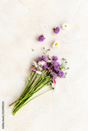 Summer floral background with wild meadow flowers and herbs