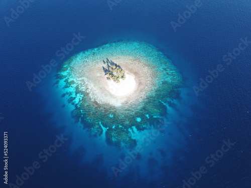 Uninhabited island JEEP island in Chuuk, Micronesia. Here is the world's greatest wreck diving destination.