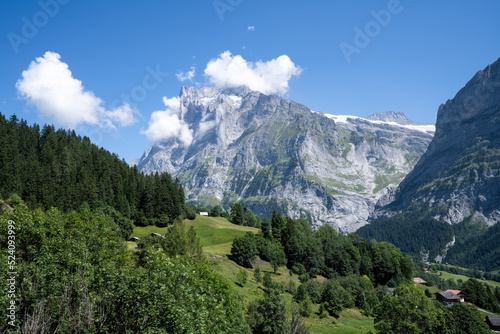 Wetterhorn mountain peak in the Swiss Alps near Grindelwald, Switzerland
