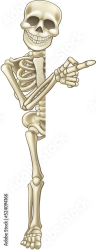 Skeleton Cartoon Pointing a...